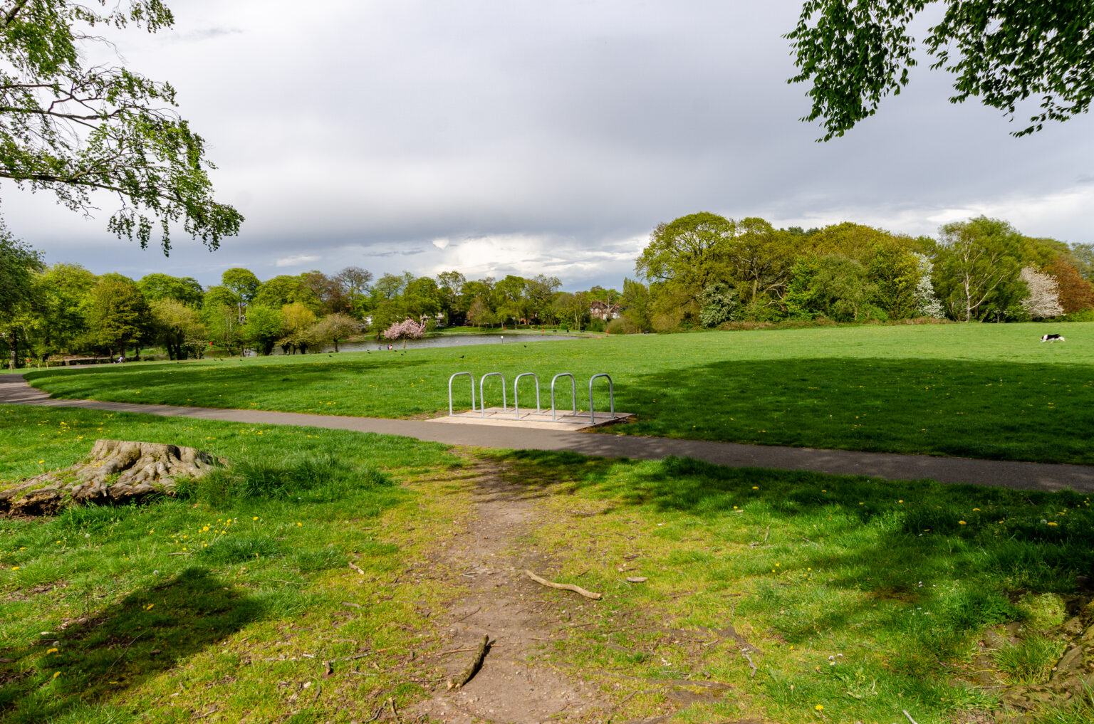 Estate Agents and Letting Agents in Kings Heath Property for sale