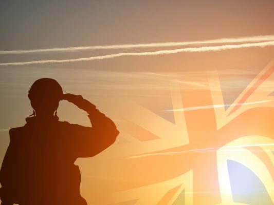 armed forces day