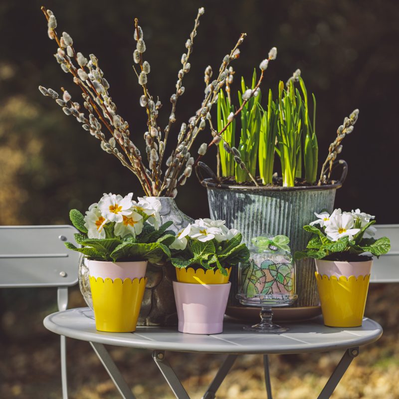 April Garden Trends