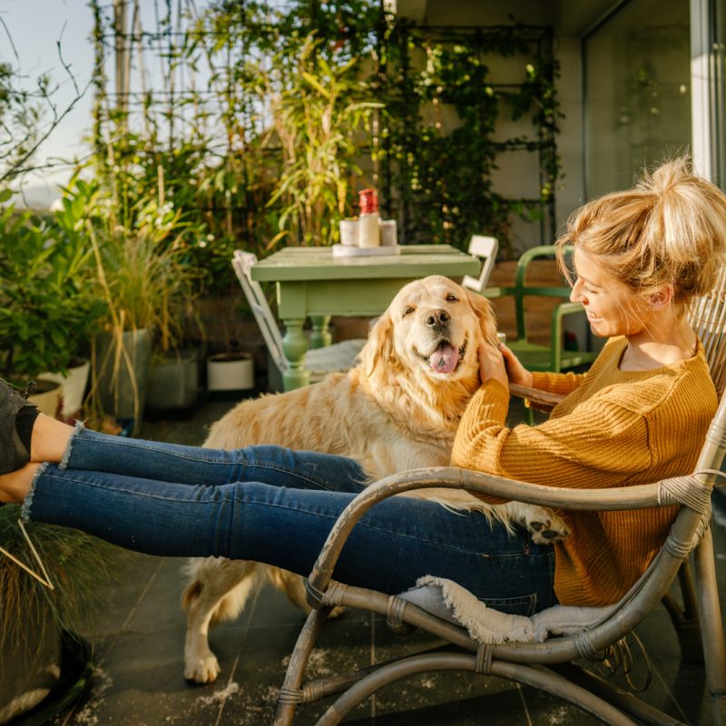 Celebrate National Pet Day