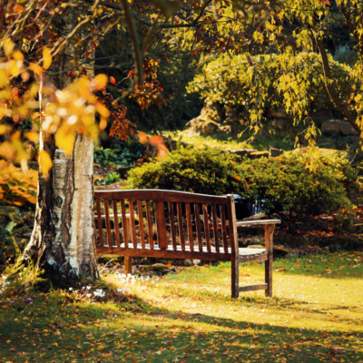Making the Most of Your Garden in Autumn